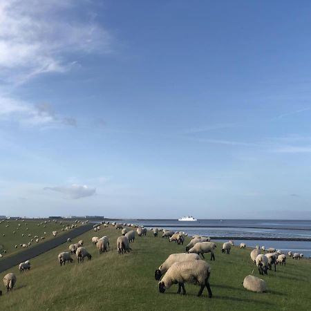 Wind Und Meer - Traumhaft An Der Nordsee Norddeich  Eksteriør bilde